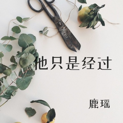 他只是经过 (女生版)