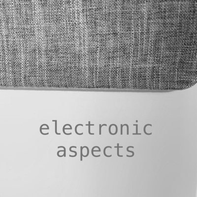 Electronic Aspects X