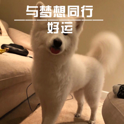 好运