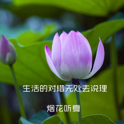 生活的对错无处去说理