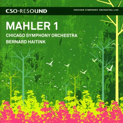 Mahler, G.: Symphony No. 1