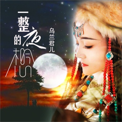 一整夜的想念(DJ何鹏版)