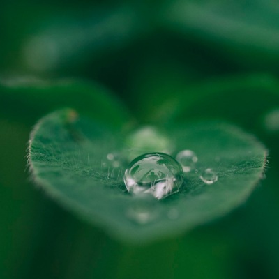Sleep Sound Library - Fluttering Mind