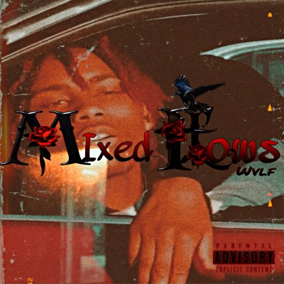 Mixed Flows (Explicit)