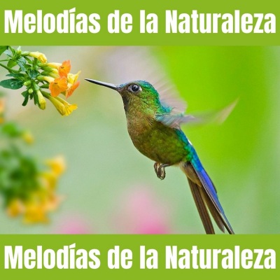 Melodías de la Naturaleza