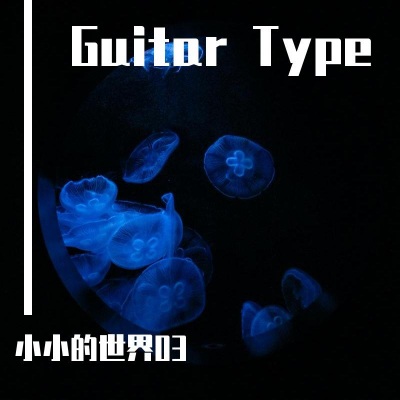 Guitar Type