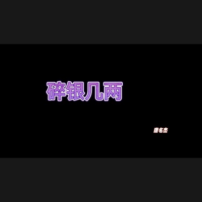 碎银几两 (DJ版)