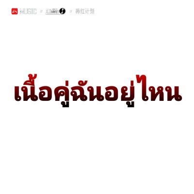 เนื้อคู่ฉันอยู่ไหน 我的灵魂伴侣在哪里 (DJ版)