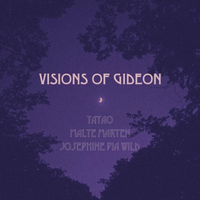 Visions of Gideon