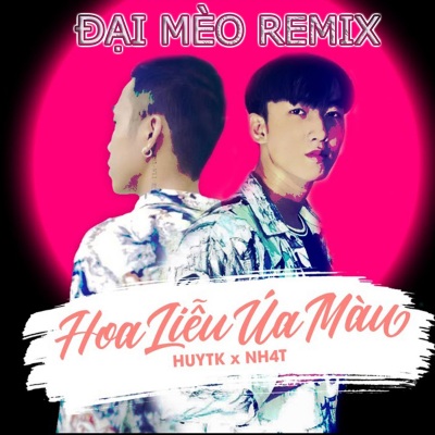 Hoa Liễu Úa Màu (Đại Mèo Remix)