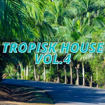 Tropisk House Vol.4