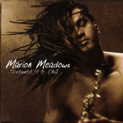 marion meadows - Dance With My Daughter