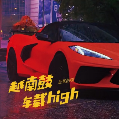 越南鼓车载high (Remix)