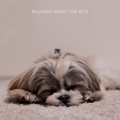 Relaxing Piano For Pets - Background Music For Pets