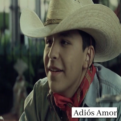 Adiós Amor