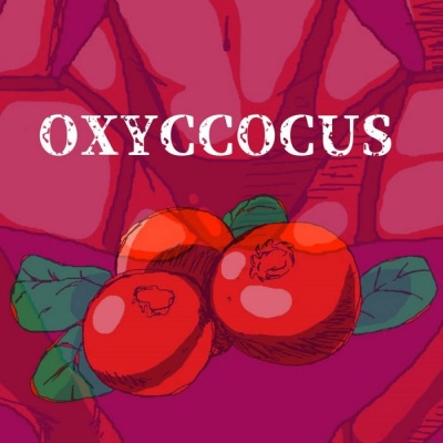 OXYCOCCUS (the ALBUM)