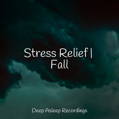 Stress Relief | Fall