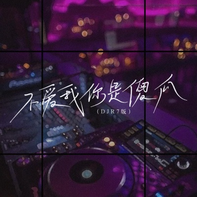 不爱我你是傻瓜 (DJ R7版)