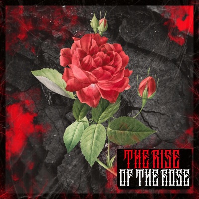 The Rise of The Rose (Explicit)