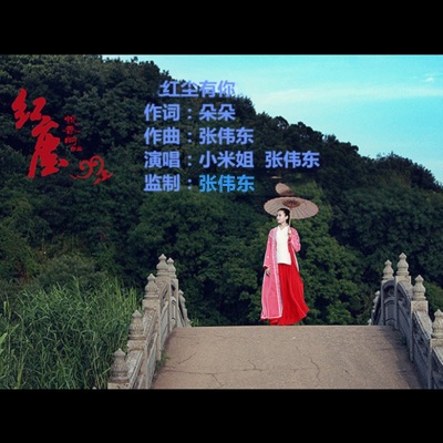 张伟东 - 红尘有你