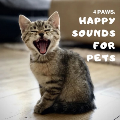 4Paws: Happy Sounds for Pets