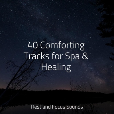 40 Comforting Tracks for Spa & Healing