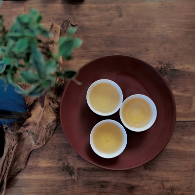 听雨煮茶