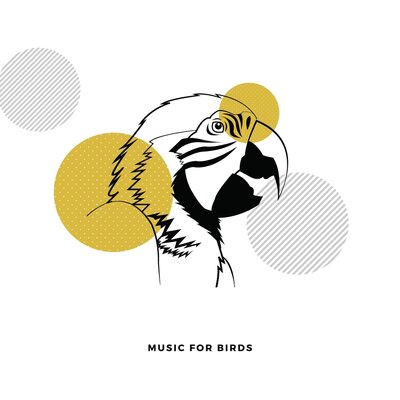Relaxing Piano For Pets - Comfort Music For Birds