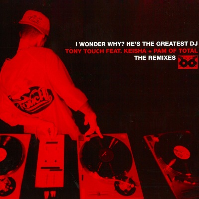 I Wonder Why? (He's the Greatest DJ) (The Remixes) [Explicit]