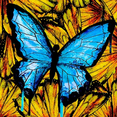 Kid Travis - Butterflies