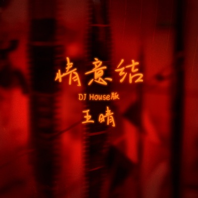 情意结 (DJ House版)