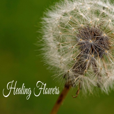 Healing Flowers