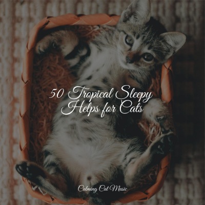 50 Tropical Sleepy Helps for Cats