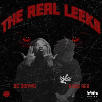 Real LEEKS (feat. Kode Red) [Explicit]