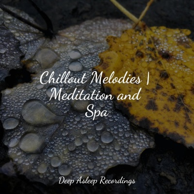 Chillout Melodies | Meditation and Spa