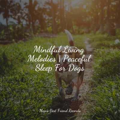 Mindful Living Melodies | Peaceful Sleep For Dogs