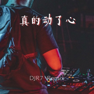 真的，用了心 (DJ R7版)