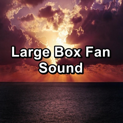 Large Box Fan Sound