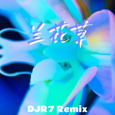 兰花草 (DJ R7版)