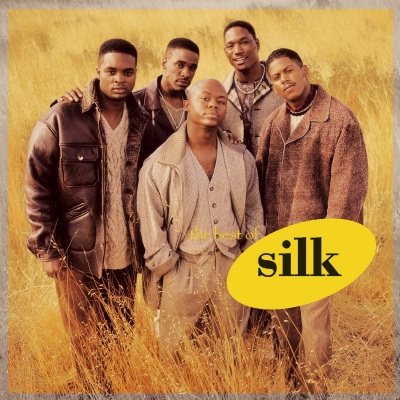 The Best Of Silk