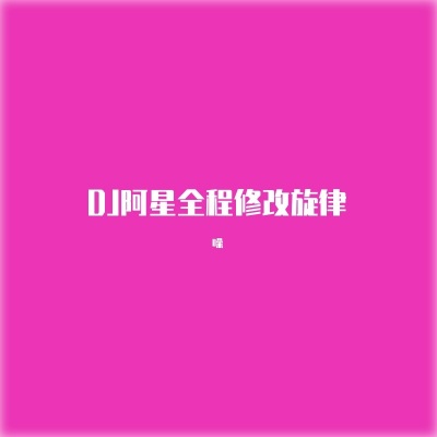 DJ阿星全程修改旋律 (DJ版)