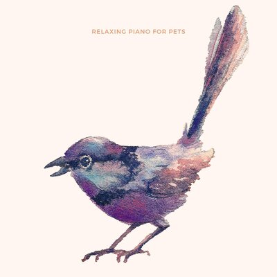 Relaxing Piano For Pets - Beautiful Music For Birds