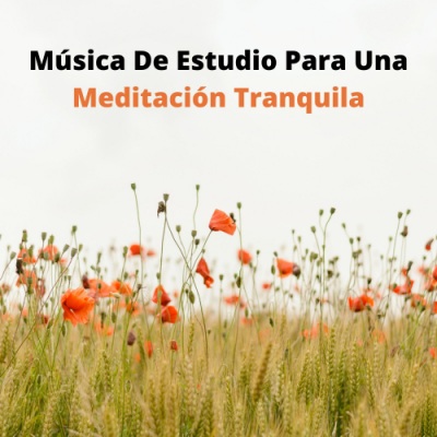 Música De Estudio Para Una Meditación Tranquila