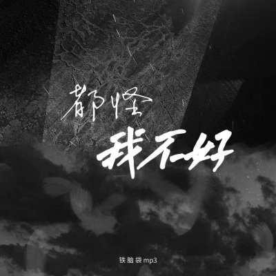 铁脑袋mp3 - 都怪我不好 (DJ阿本版)