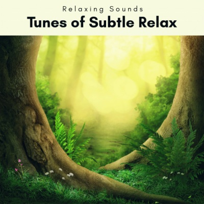 2 0 2 2 Tunes of Subtle Relax