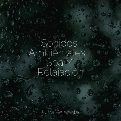 Sonidos Ambientales | Spa Y Relajación