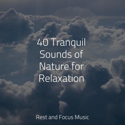 40 Tranquil Sounds of Nature for Relaxation