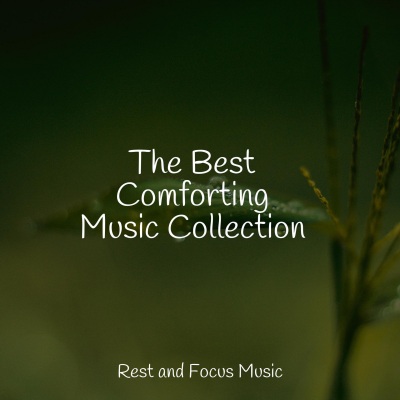 The Best Comforting Music Collection