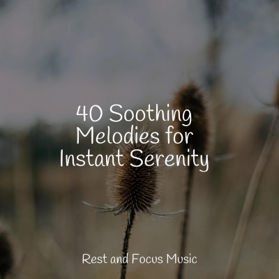 40 Soothing Melodies for Instant Serenity