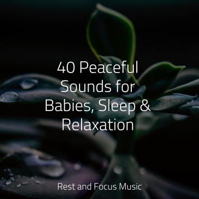 40 Peaceful Sounds for Babies, Sleep & Relaxation